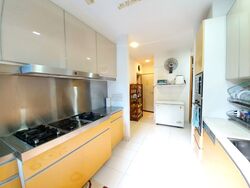The Solitaire (D10), Condominium #560272581